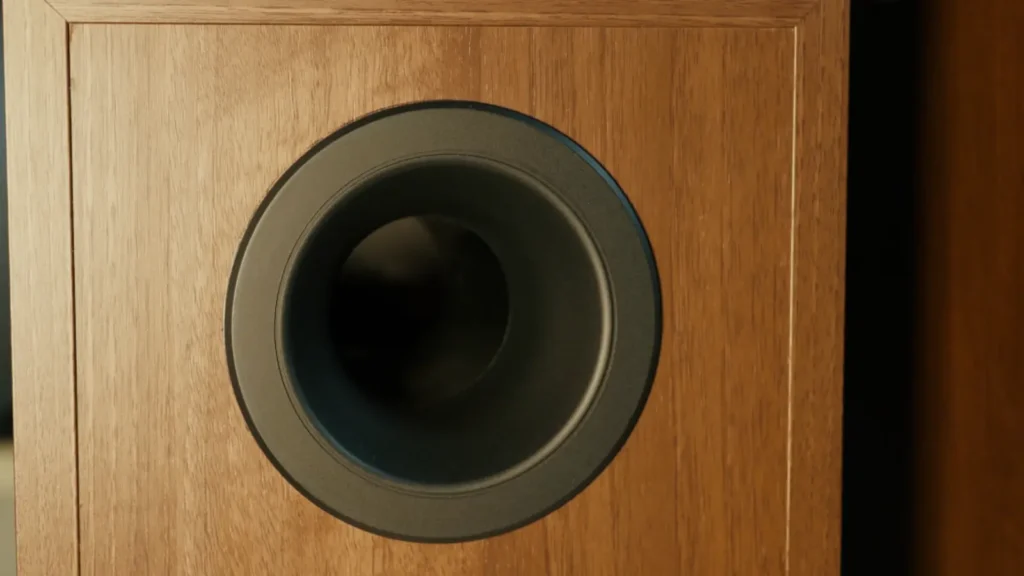 A look of  KEF Q350 port