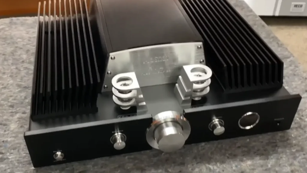 Magnat RV4 Review 2026 Front Look