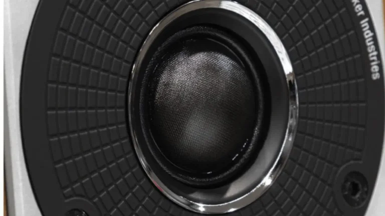 Can a Bookshelf Speaker Sound This Good? My DALI Rubicon 2 Review