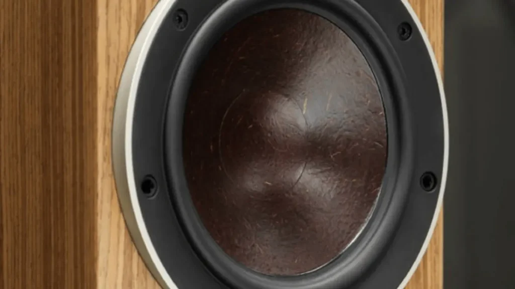 My DALI Rubicon 2 Review 2025