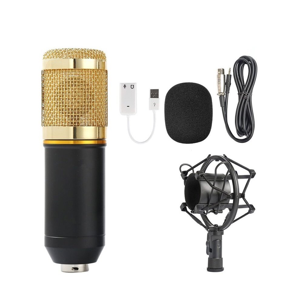 an image for a condenser Microphones: How to choose a stage microphone