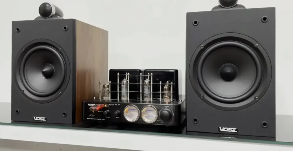 A closer look at the tube sound amplifier and bookshelf speaker
