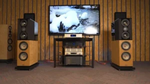 Penaudio Karelietta Speakers Review