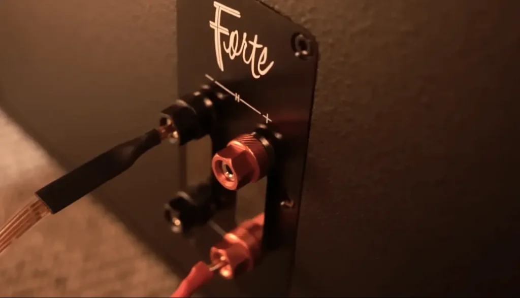 A Closer Look of Speaker Terminals of Klipsch Forte IV with connected wires at the time i was listening the speakers