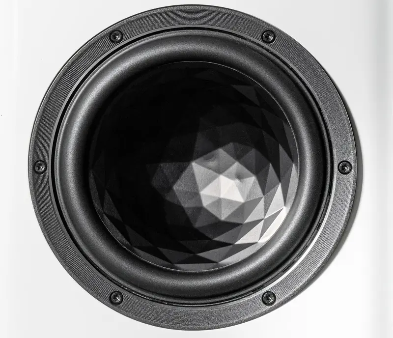 A closer look of elac_vela_bs_404 driver