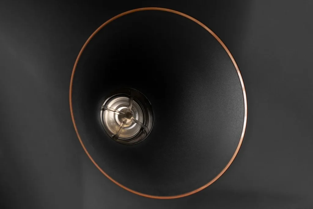 Acloser look of Klipsch RP-6000F II Horn Tweeter in my review