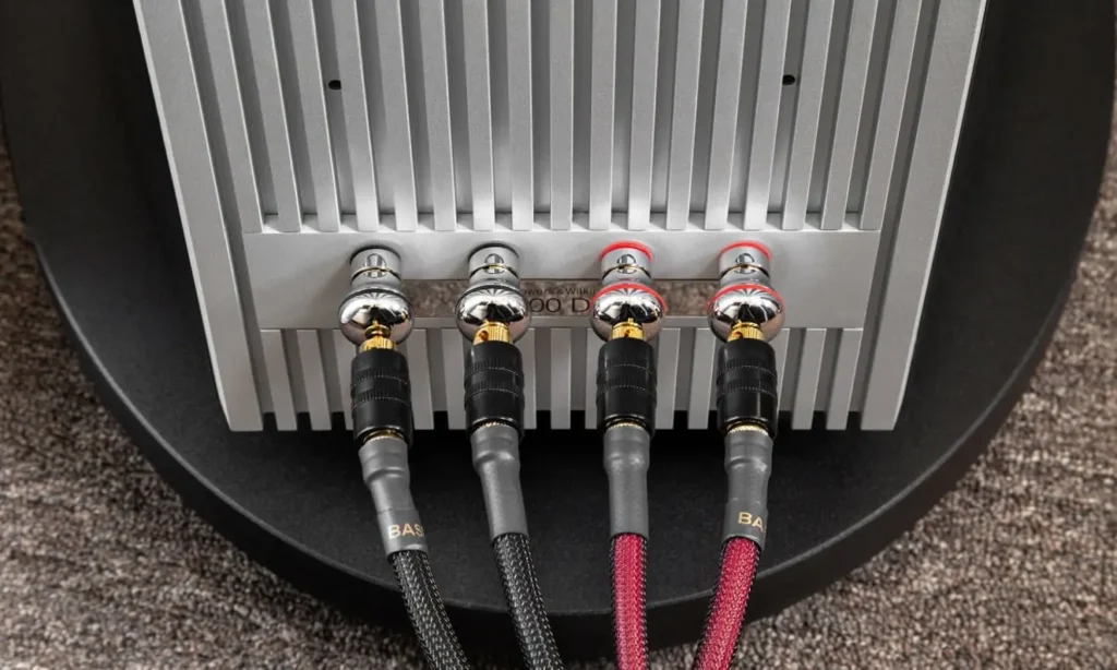 Rear view of the Bowers & Wilkins 800 D3 showing the high-quality wire that i'v used
