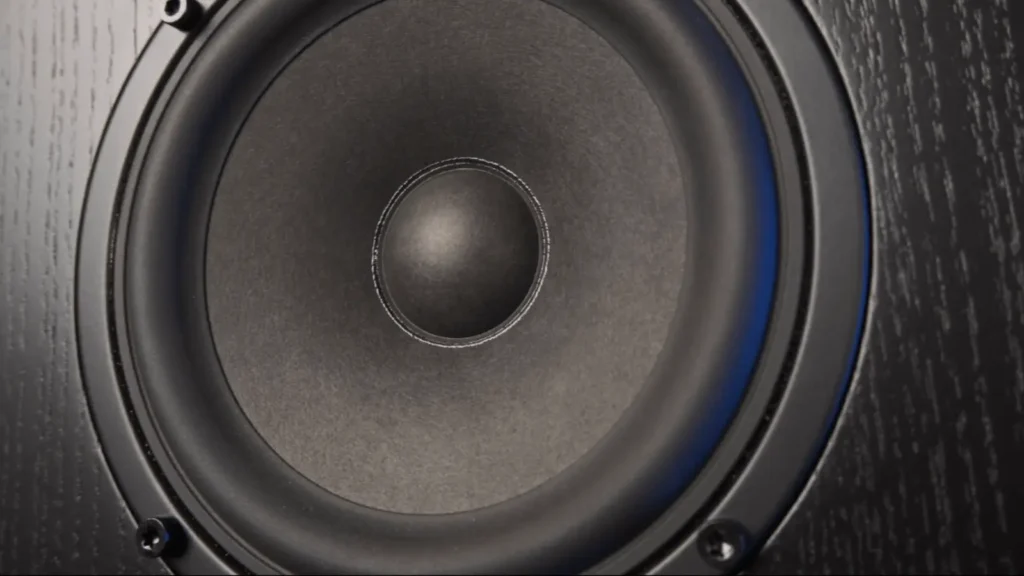 Radiotehnika Vita 2.06 bass driver