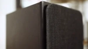 Dali Oberon 1 C Review