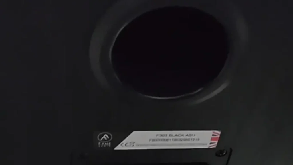 Rear view of the Fyne Audio F303 cabinet showing the bass reflex port and product label identifying the Black Ash finish.