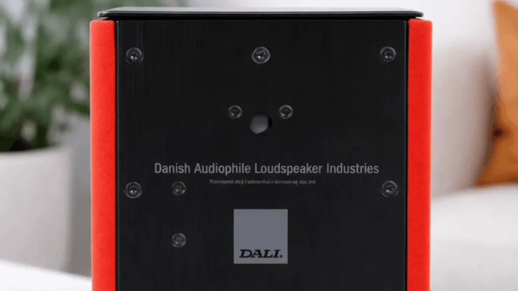 A Closer Look of my Dali Kubik Free backside