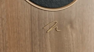 MartinLogan-Motion-Foundation-F1-Review