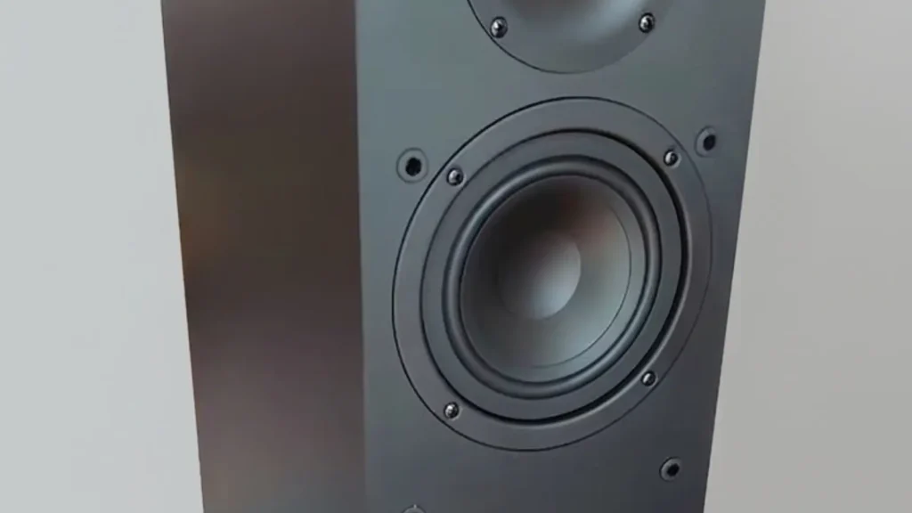 A Closer Look of Paradigm Monitor SE 6000F mid Driver
