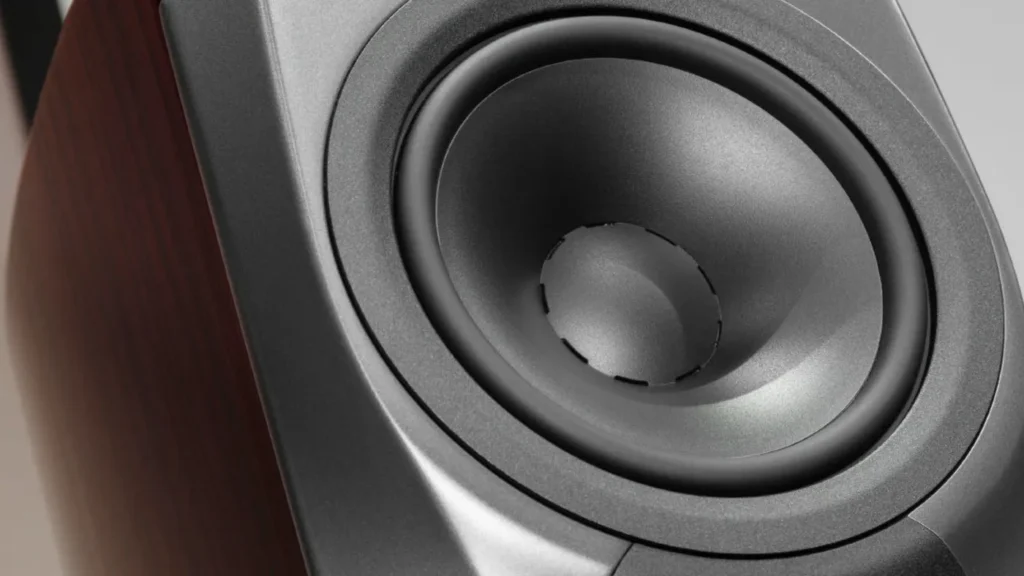 Closer Look of Dynaudio Confidence 30 driver