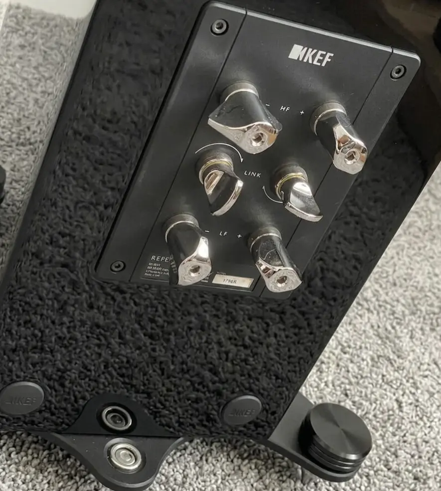 Closer Look of KEF Reference 5 speaker terminals