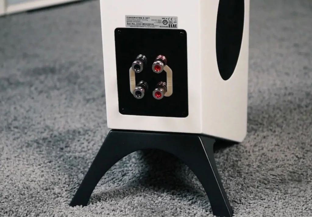 Concentro S 507 back side with speaker terminals