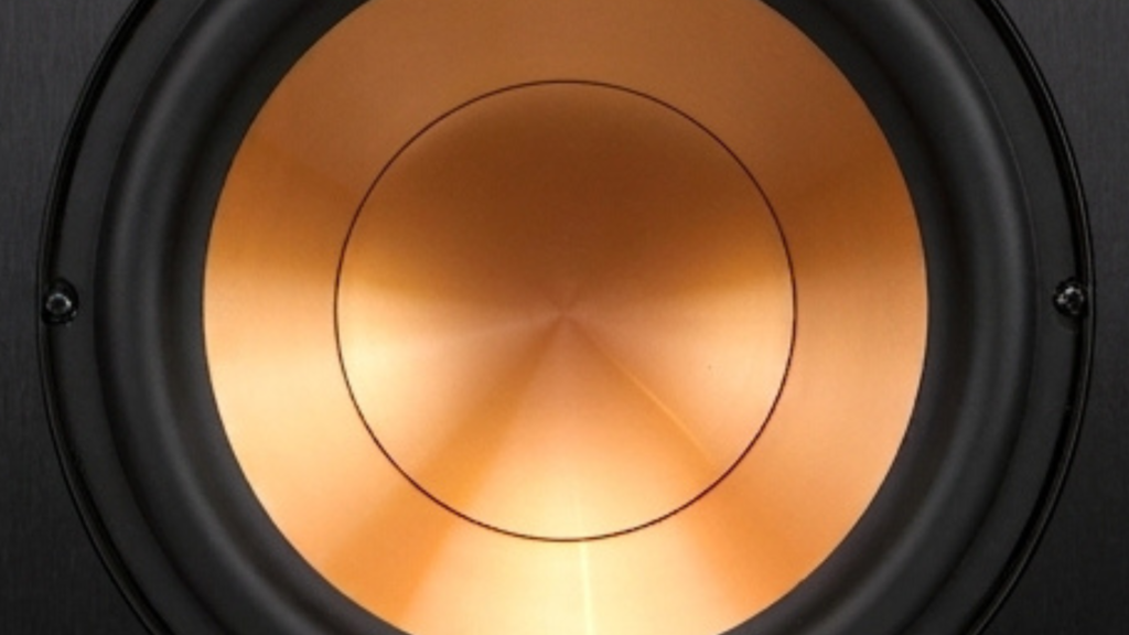 Klipsch R-10SW Review