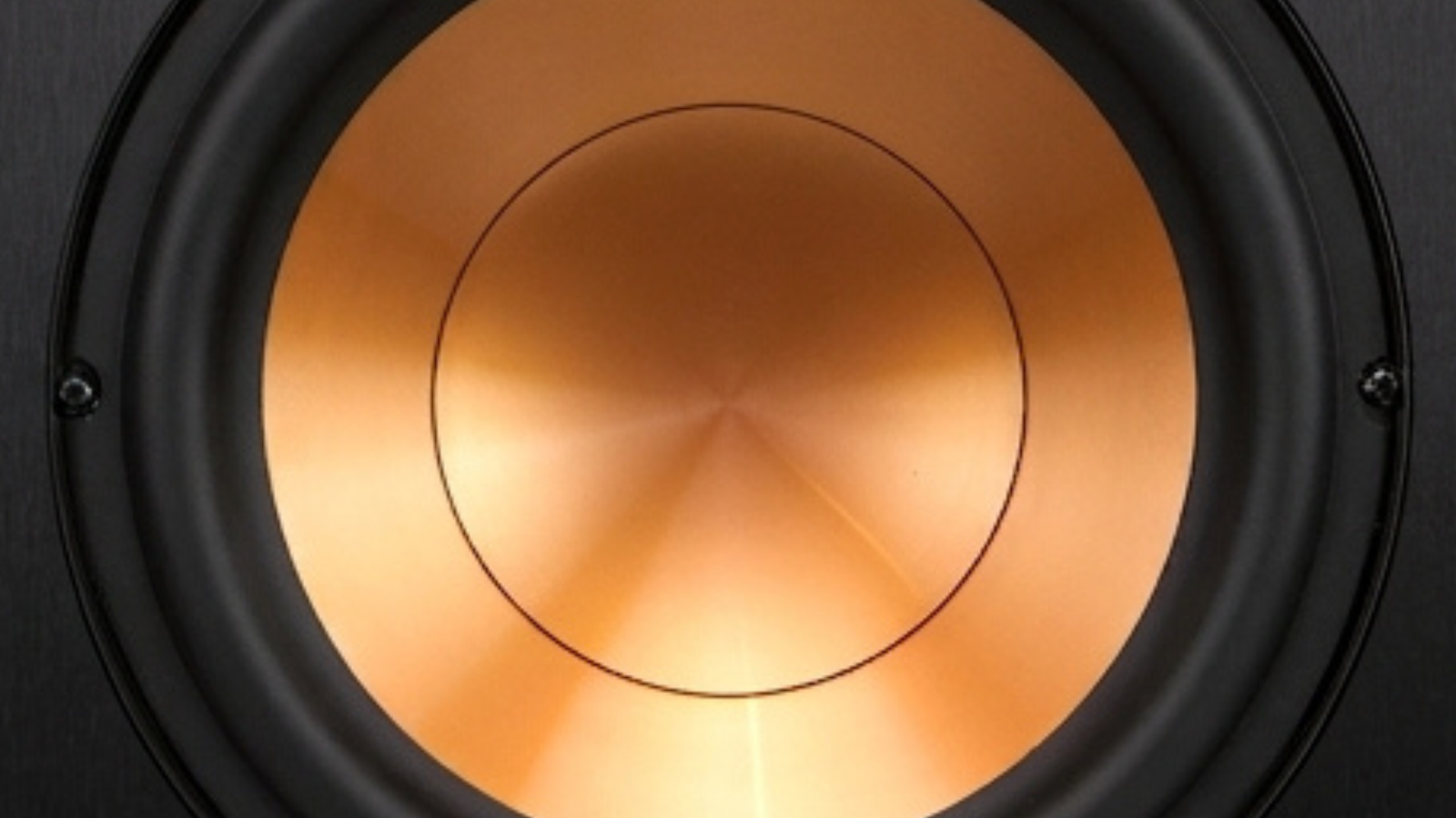 Klipsch R-10SW Review