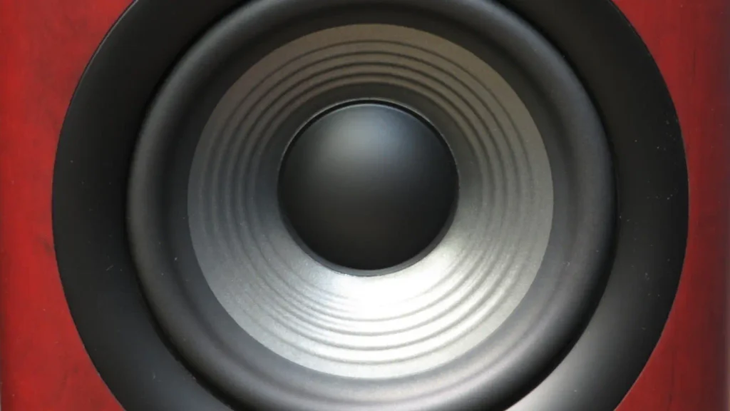 JBL Studio 680 driver Look