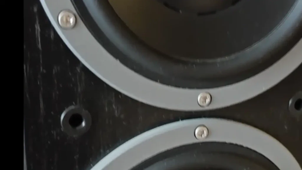 A Closer Look of Dynaudio Focus 260 Drivers