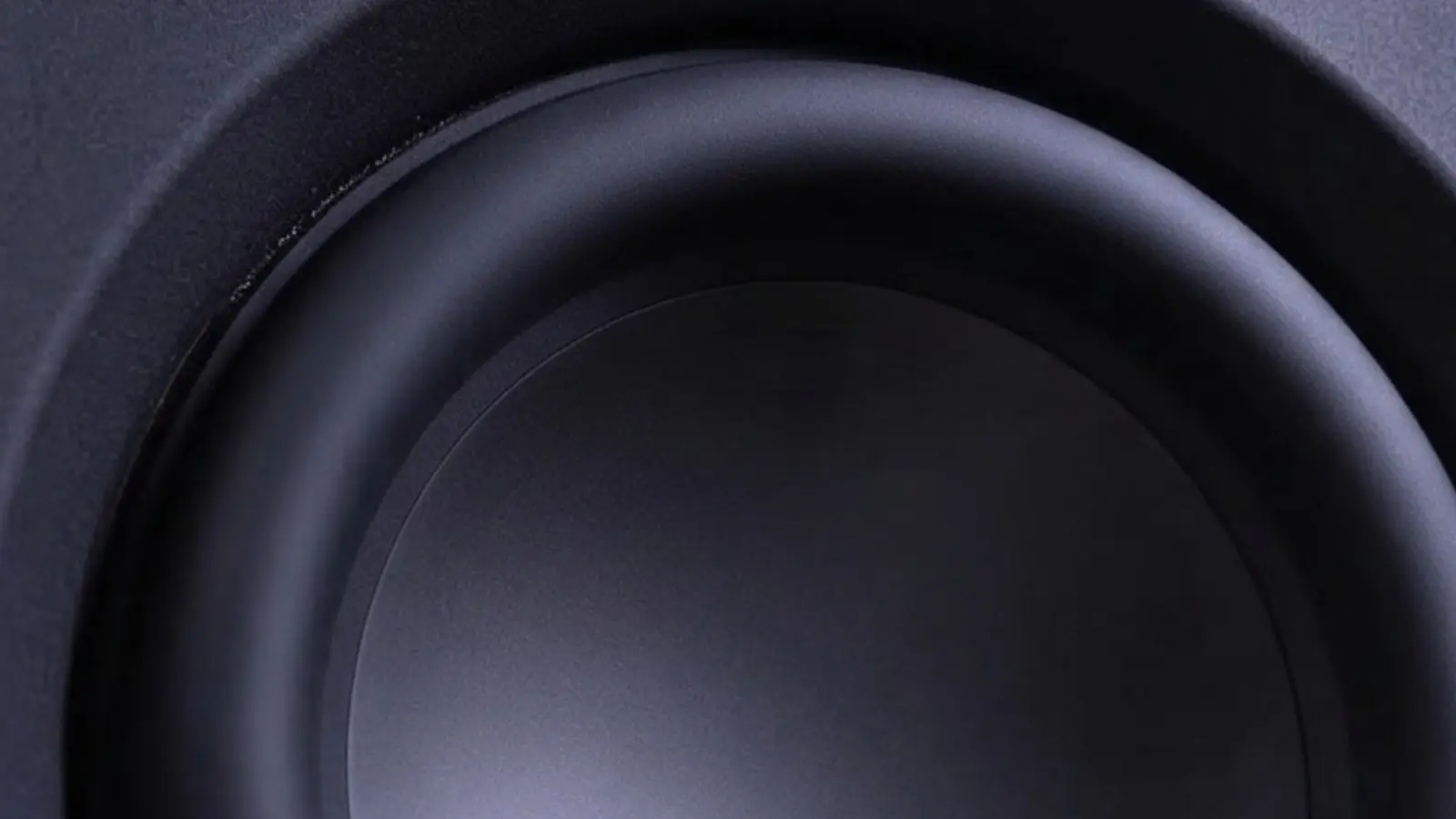 speakers for bass heavy music